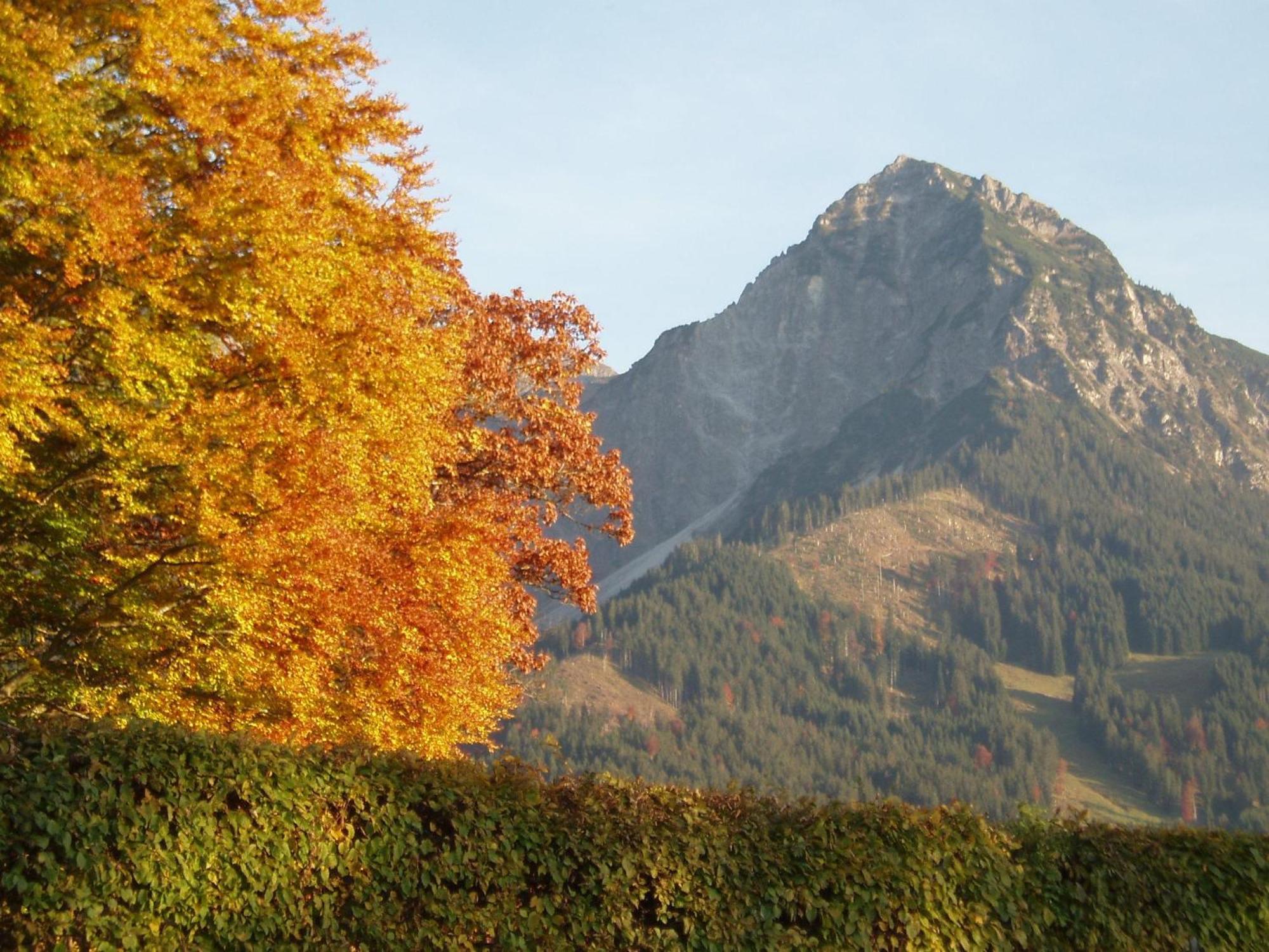 Gaestehaus Koch Fischen im Allgaeu Екстериор снимка